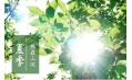 今日入伏！“三伏天”的“伏”是什么？伏天空調(diào)開多少度最合適？