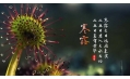 今日寒露 | 裊裊涼風(fēng)動(dòng)，凄凄寒露零
